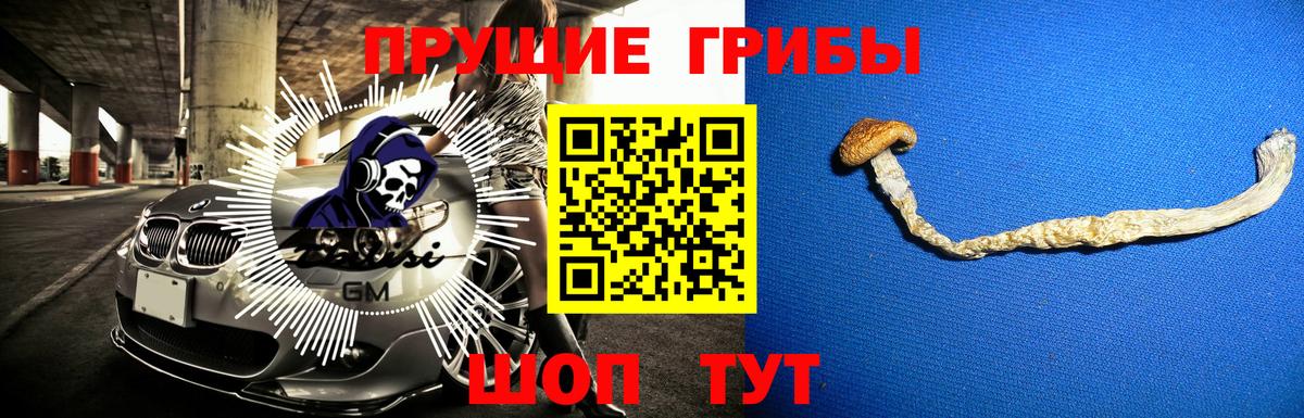 Псилоцибиновые грибы мицелий  Вход с VPN  Барнаул  Псилоцибиновые грибы Magic Shrooms 
